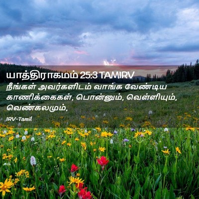 Picture 02 - யாத்திராகமம் 25:3 TAMIRV - நீங்கள் - Bible Verse Picture
