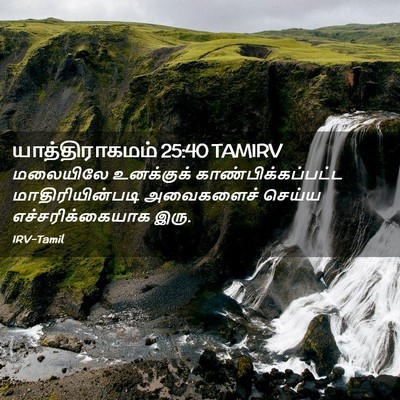 Picture 02 - யாத்திராகமம் 25:40 TAMIRV - மலையிலே உனக்குக் - Bible Verse Picture