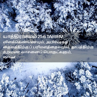 Picture 02 - யாத்திராகமம் 25:6 TAMIRV - விளக்கெண்ணெயும், - Bible Verse Picture