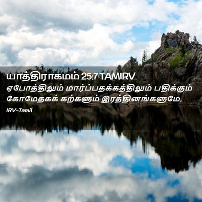 Picture 02 - யாத்திராகமம் 25:7 TAMIRV - ஏபோத்திலும் - Bible Verse Picture