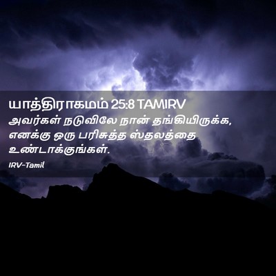 Picture 02 - யாத்திராகமம் 25:8 TAMIRV - அவர்கள் நடுவிலே - Bible Verse Picture