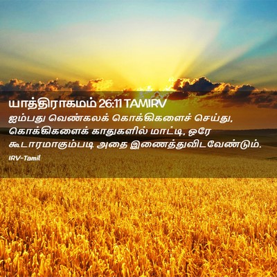 Picture 02 - யாத்திராகமம் 26:11 TAMIRV - ஐம்பது வெண்கலக் - Bible Verse Picture