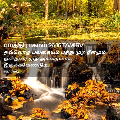 Picture 02 - யாத்திராகமம் 26:16 TAMIRV - ஒவ்வொரு பலகையும் - Bible Verse Picture