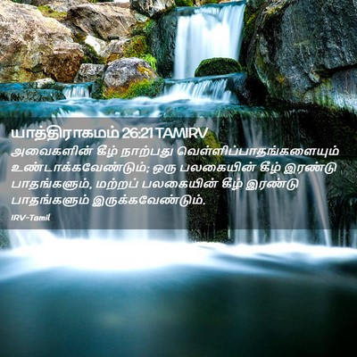 Picture 02 - யாத்திராகமம் 26:21 TAMIRV - அவைகளின் கீழ் - Bible Verse Picture