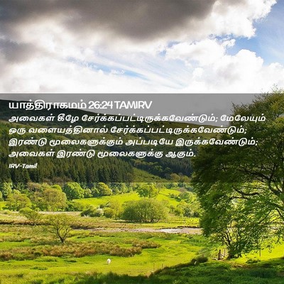 Picture 02 - யாத்திராகமம் 26:24 TAMIRV - அவைகள் கீழே - Bible Verse Picture