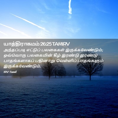 Picture 02 - யாத்திராகமம் 26:25 TAMIRV - அந்தப்படி எட்டுப் - Bible Verse Picture