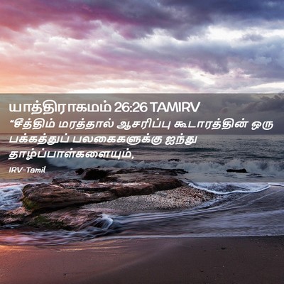 Picture 02 - யாத்திராகமம் 26:26 TAMIRV - “சீத்திம் - Bible Verse Picture