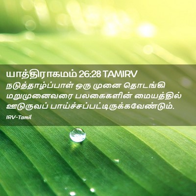 Picture 02 - யாத்திராகமம் 26:28 TAMIRV - நடுத்தாழ்ப்பாள் - Bible Verse Picture