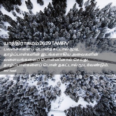 Picture 02 - யாத்திராகமம் 26:29 TAMIRV - பலகைகளைப் - Bible Verse Picture