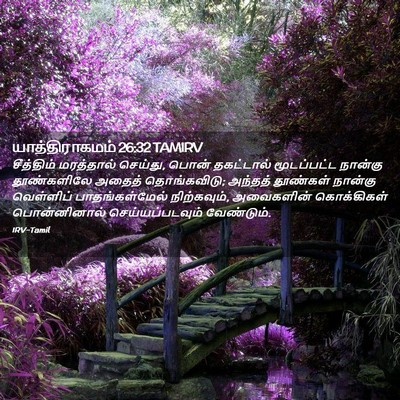 Picture 02 - யாத்திராகமம் 26:32 TAMIRV - சீத்திம் மரத்தால் - Bible Verse Picture