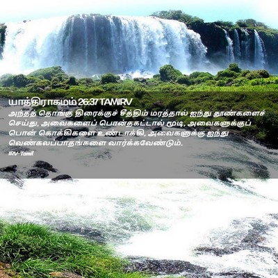 Picture 02 - யாத்திராகமம் 26:37 TAMIRV - அந்தத் தொங்கு - Bible Verse Picture