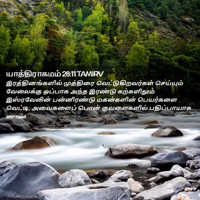 Picture 02 - யாத்திராகமம் 28:11 TAMIRV - இரத்தினங்களில் - Bible Verse Picture
