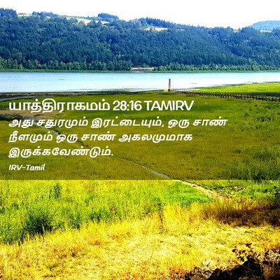 Picture 02 - யாத்திராகமம் 28:16 TAMIRV - அது சதுரமும் - Bible Verse Picture