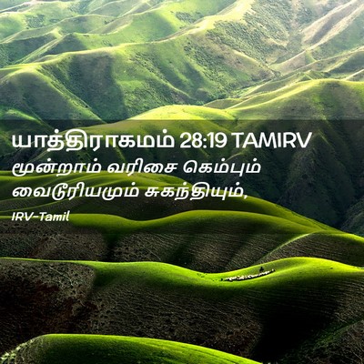 Picture 02 - யாத்திராகமம் 28:19 TAMIRV - மூன்றாம் வரிசை - Bible Verse Picture