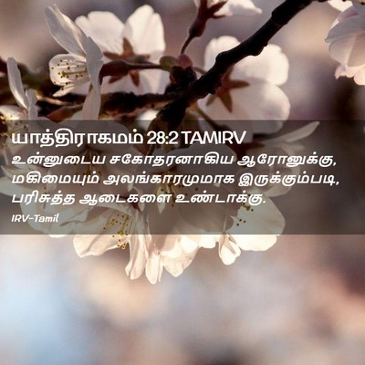 Picture 02 - யாத்திராகமம் 28:2 TAMIRV - உன்னுடைய - Bible Verse Picture