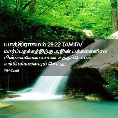 Picture 02 - யாத்திராகமம் 28:22 TAMIRV -  - Bible Verse Picture
