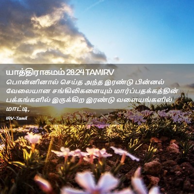Picture 02 - யாத்திராகமம் 28:24 TAMIRV - பொன்னினால் செய்த - Bible Verse Picture
