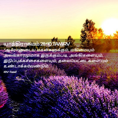 Picture 02 - யாத்திராகமம் 28:40 TAMIRV - “ஆரோனுடைய - Bible Verse Picture