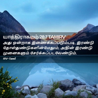 Picture 02 - யாத்திராகமம் 28:7 TAMIRV - அது ஒன்றாக - Bible Verse Picture