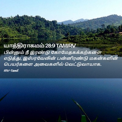 Picture 02 - யாத்திராகமம் 28:9 TAMIRV - பின்னும் நீ - Bible Verse Picture