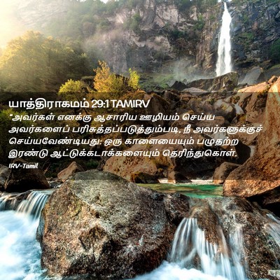 Picture 02 - யாத்திராகமம் 29:1 TAMIRV - “அவர்கள் எனக்கு - Bible Verse Picture