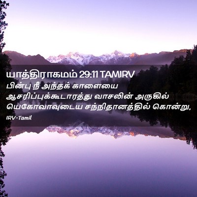 Picture 02 - யாத்திராகமம் 29:11 TAMIRV - பின்பு நீ அந்தக் - Bible Verse Picture
