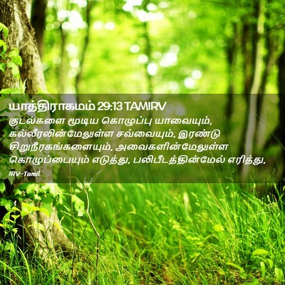 Picture 02 - யாத்திராகமம் 29:13 TAMIRV - குடல்களை மூடிய - Bible Verse Picture
