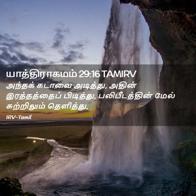 Picture 02 - யாத்திராகமம் 29:16 TAMIRV - அந்தக் கடாவை - Bible Verse Picture