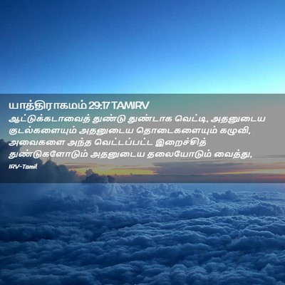 Picture 02 - யாத்திராகமம் 29:17 TAMIRV - ஆட்டுக்கடாவைத் - Bible Verse Picture