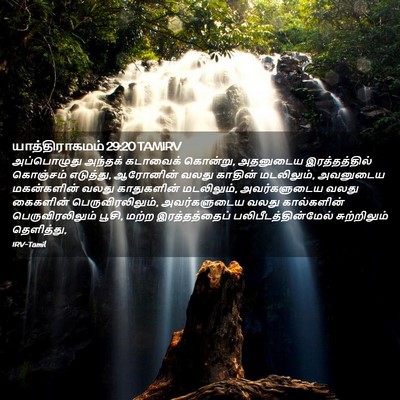 Picture 02 - யாத்திராகமம் 29:20 TAMIRV - அப்பொழுது அந்தக் - Bible Verse Picture