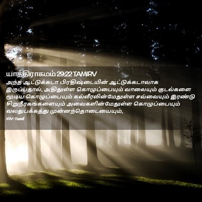 Picture 02 - யாத்திராகமம் 29:22 TAMIRV - அந்த ஆட்டுக்கடா - Bible Verse Picture