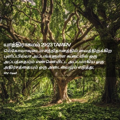 Picture 02 - யாத்திராகமம் 29:23 TAMIRV - யெகோவாவுடைய - Bible Verse Picture