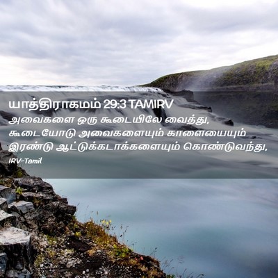 Picture 02 - யாத்திராகமம் 29:3 TAMIRV - அவைகளை ஒரு - Bible Verse Picture