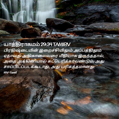 Picture 02 - யாத்திராகமம் 29:34 TAMIRV - பிரதிஷ்டையின் - Bible Verse Picture