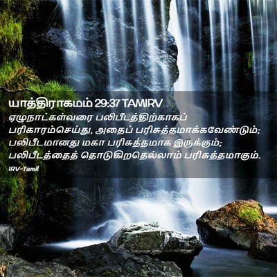 Picture 02 - யாத்திராகமம் 29:37 TAMIRV - ஏழுநாட்கள்வரை - Bible Verse Picture