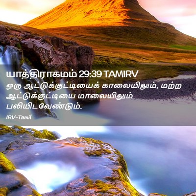 Picture 02 - யாத்திராகமம் 29:39 TAMIRV - ஒரு - Bible Verse Picture