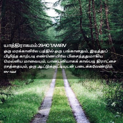 Picture 02 - யாத்திராகமம் 29:40 TAMIRV - ஒரு மரக்காலிலே - Bible Verse Picture