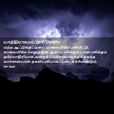 Picture 02 - யாத்திராகமம் 29:41 TAMIRV - மற்ற - Bible Verse Picture