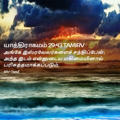 Picture 02 - யாத்திராகமம் 29:43 TAMIRV - அங்கே - Bible Verse Picture