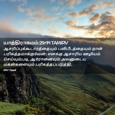 Picture 02 - யாத்திராகமம் 29:44 TAMIRV -  - Bible Verse Picture