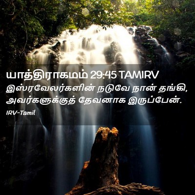 Picture 02 - யாத்திராகமம் 29:45 TAMIRV - இஸ்ரவேலர்களின் - Bible Verse Picture