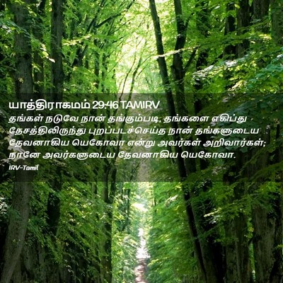 Picture 02 - யாத்திராகமம் 29:46 TAMIRV - தங்கள் நடுவே நான் - Bible Verse Picture