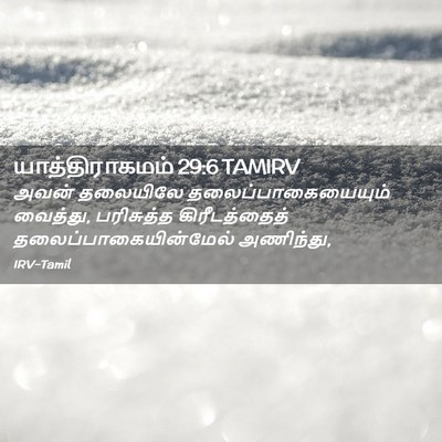 Picture 02 - யாத்திராகமம் 29:6 TAMIRV - அவன் தலையிலே - Bible Verse Picture