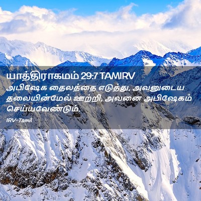 Picture 02 - யாத்திராகமம் 29:7 TAMIRV - அபிஷேக தைலத்தை - Bible Verse Picture
