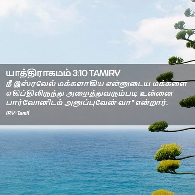 Picture 02 - யாத்திராகமம் 3:10 TAMIRV - நீ இஸ்ரவேல் - Bible Verse Picture