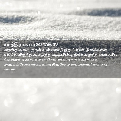 Picture 02 - யாத்திராகமம் 3:12 TAMIRV - அதற்கு அவர்: “நான் - Bible Verse Picture