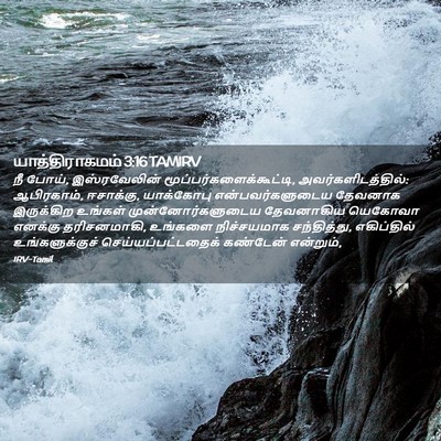 Picture 02 - யாத்திராகமம் 3:16 TAMIRV - நீ போய், - Bible Verse Picture