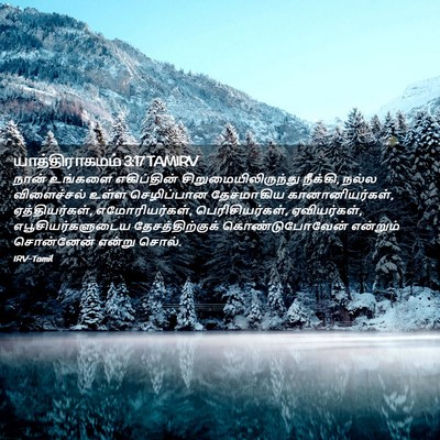Picture 02 - யாத்திராகமம் 3:17 TAMIRV - நான் உங்களை - Bible Verse Picture