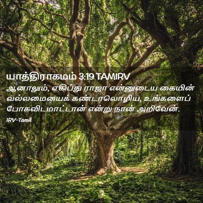 Picture 02 - யாத்திராகமம் 3:19 TAMIRV - ஆனாலும், எகிப்து - Bible Verse Picture