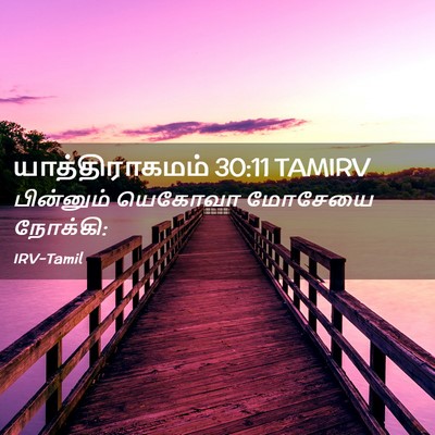Picture 02 - யாத்திராகமம் 30:11 TAMIRV - பின்னும் யெகோவா - Bible Verse Picture